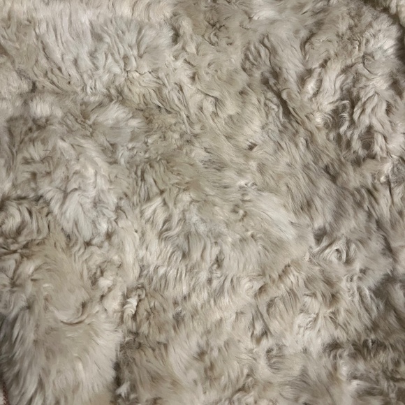 Anthropologie Cream Faux Fur Sherpa Jacket — Soft Winter Teddy Coat, Size XS - Picture 2 of 5